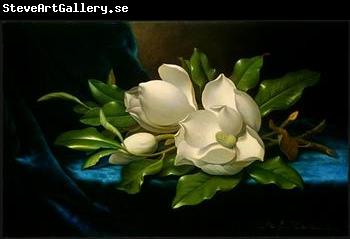 unknow artist Still life floral, all kinds of reality flowers oil painting  65